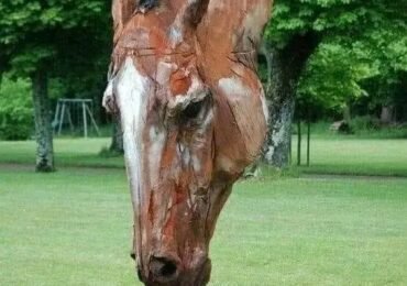 Horse Scalpture