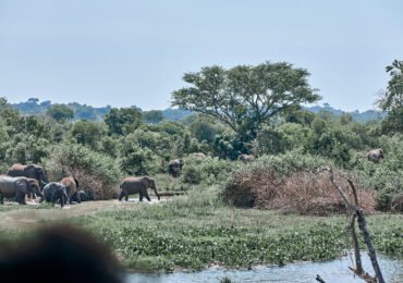 Visist Rwenzori