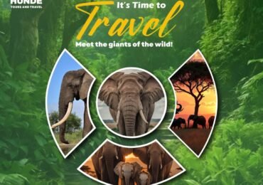 Hunde Tours & Travel