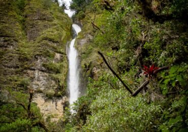 Beautiful scenery of a forest with amazing sparkling waterfalls